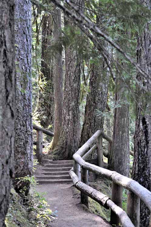 hiking trail